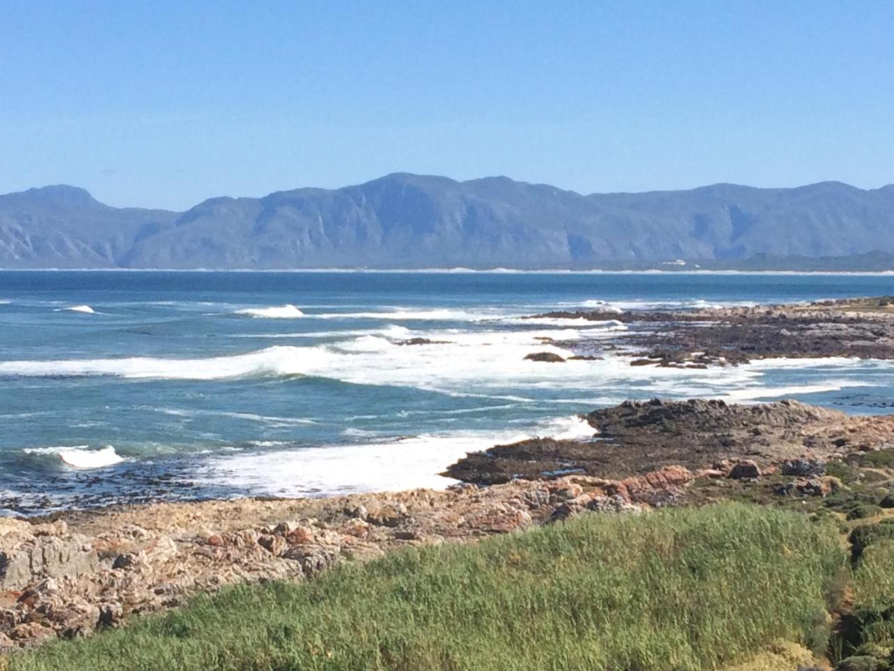 Royal Albatros Apartment Gansbaai Exterior photo