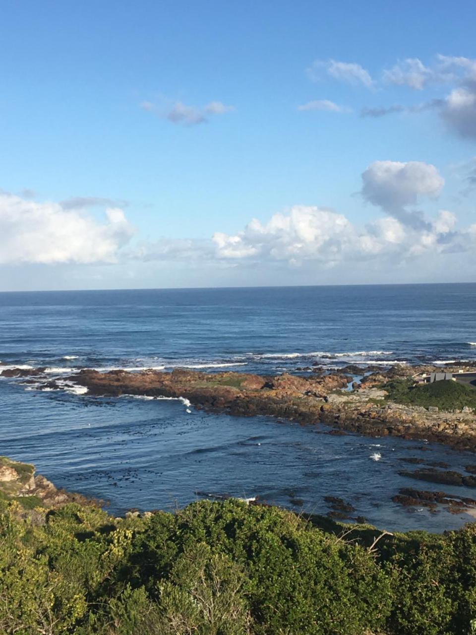 Royal Albatros Apartment Gansbaai Exterior photo